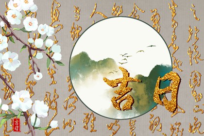 订车与提车分日